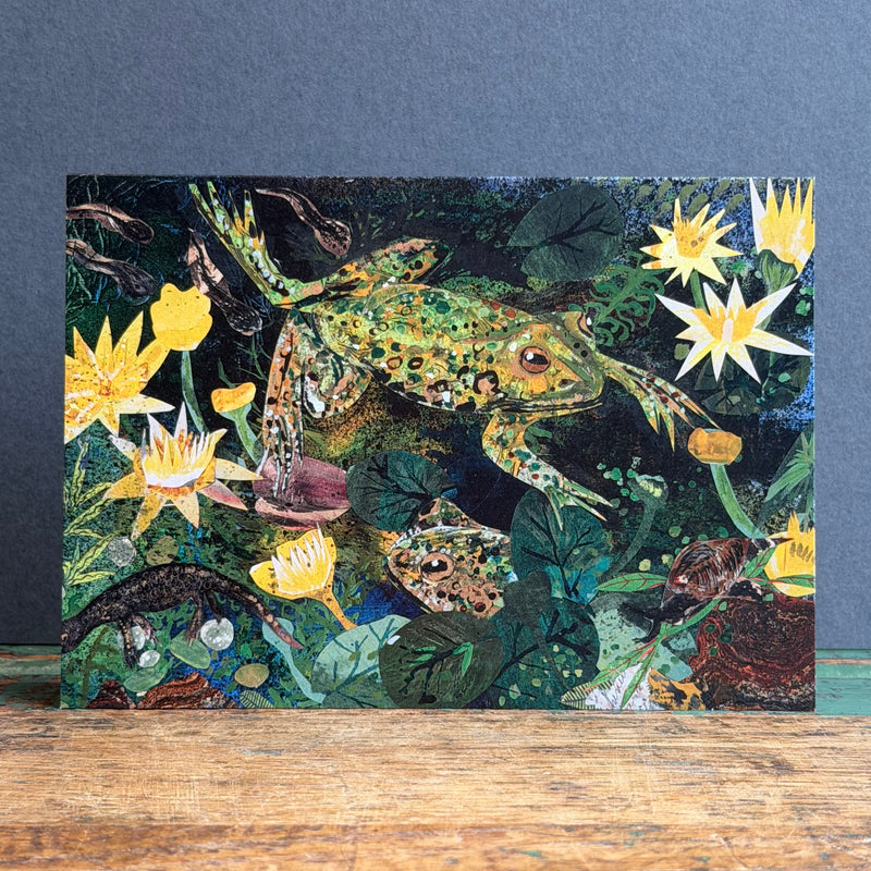 G/Card - A6 - Frog Pond