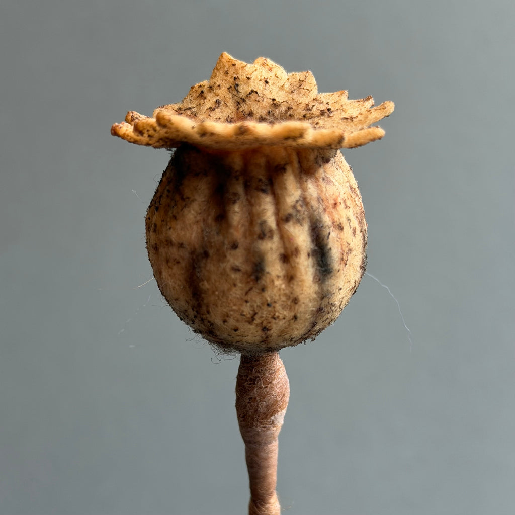 Needle Felted ‘Cordelia’ Mouse with Poppy Seedhead