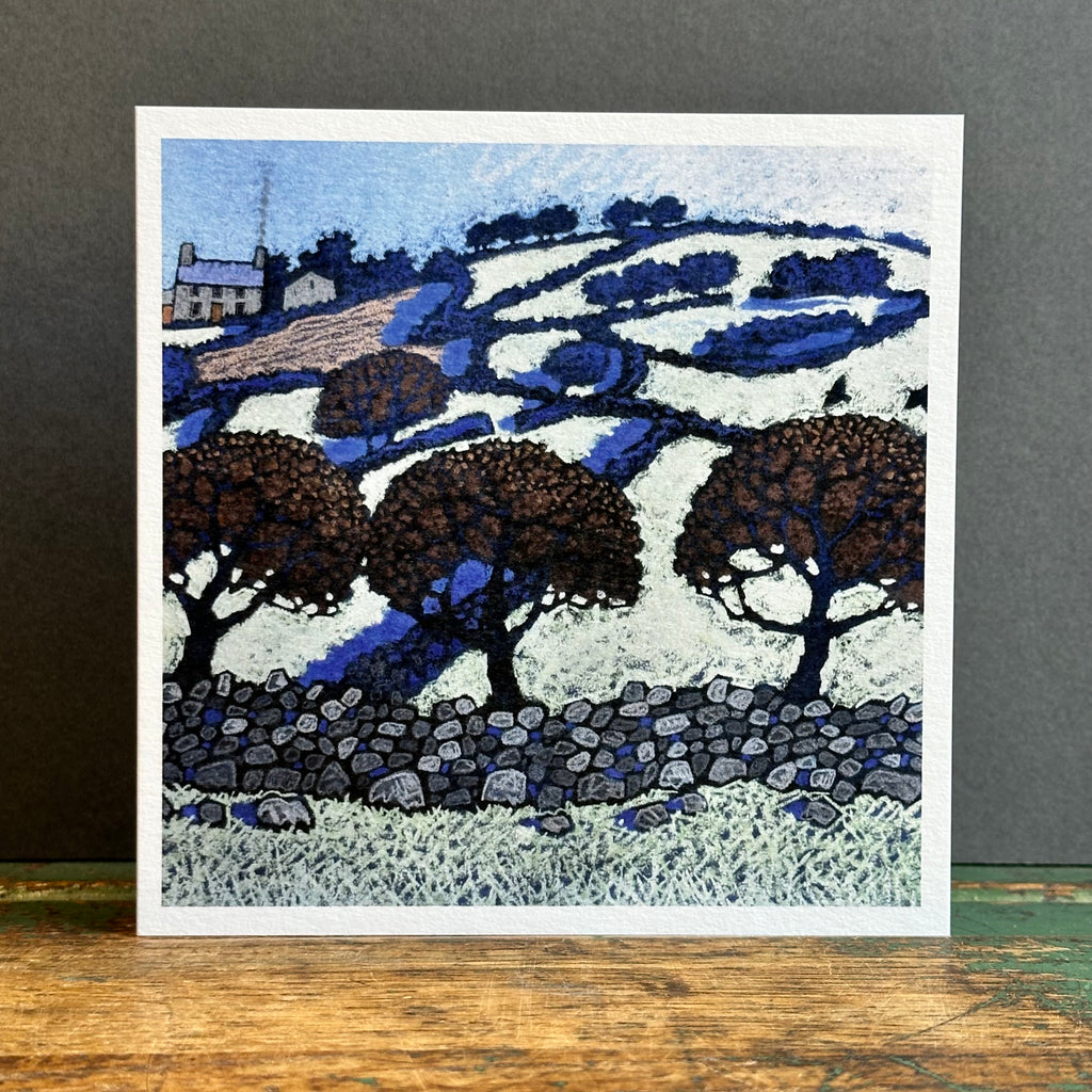 G/Card - Chris Neale - Dyffryn Ardudwy