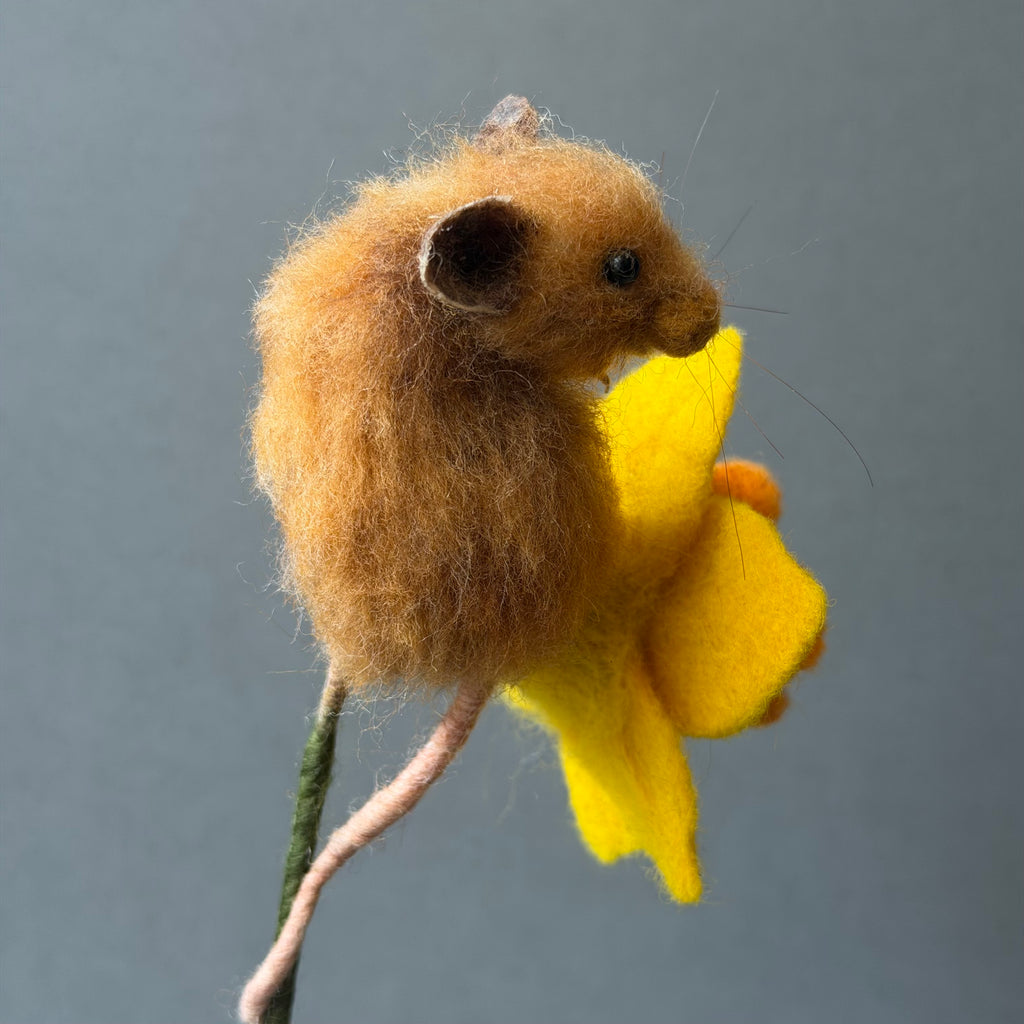 Needle Felted ‘Dilly’ Mouse with a Daffodil