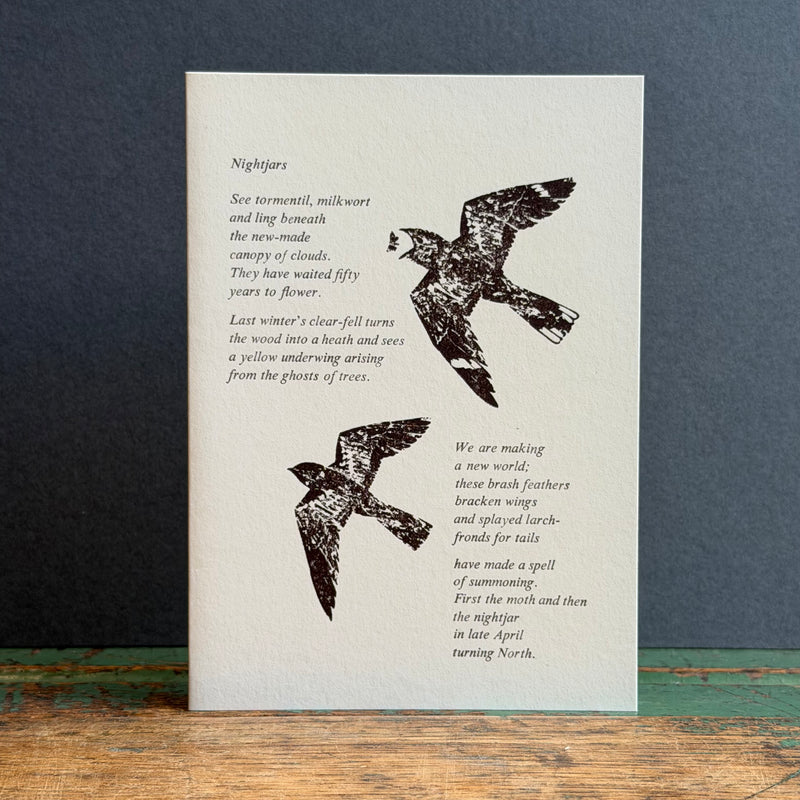 Letterpress Bird G/Card - Nightjar