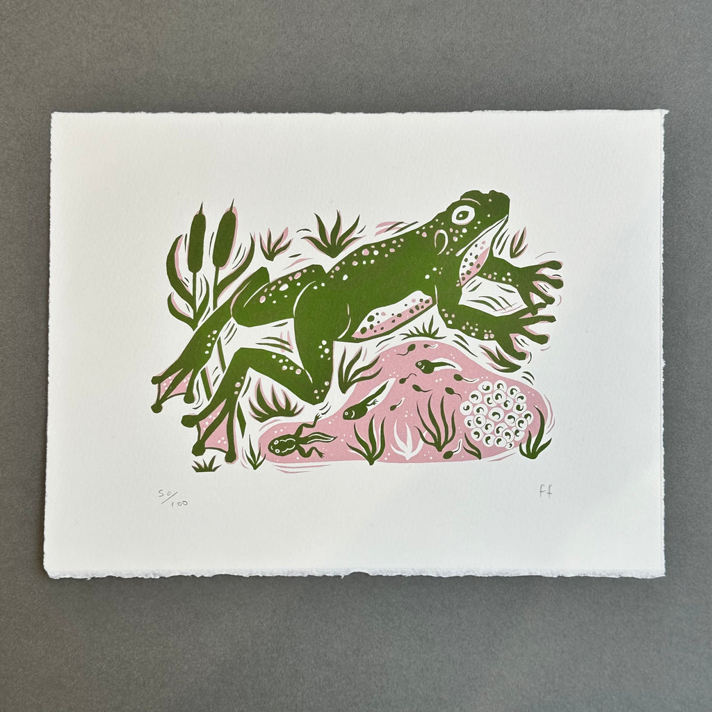Ltd Edition Screenprint - Frog
