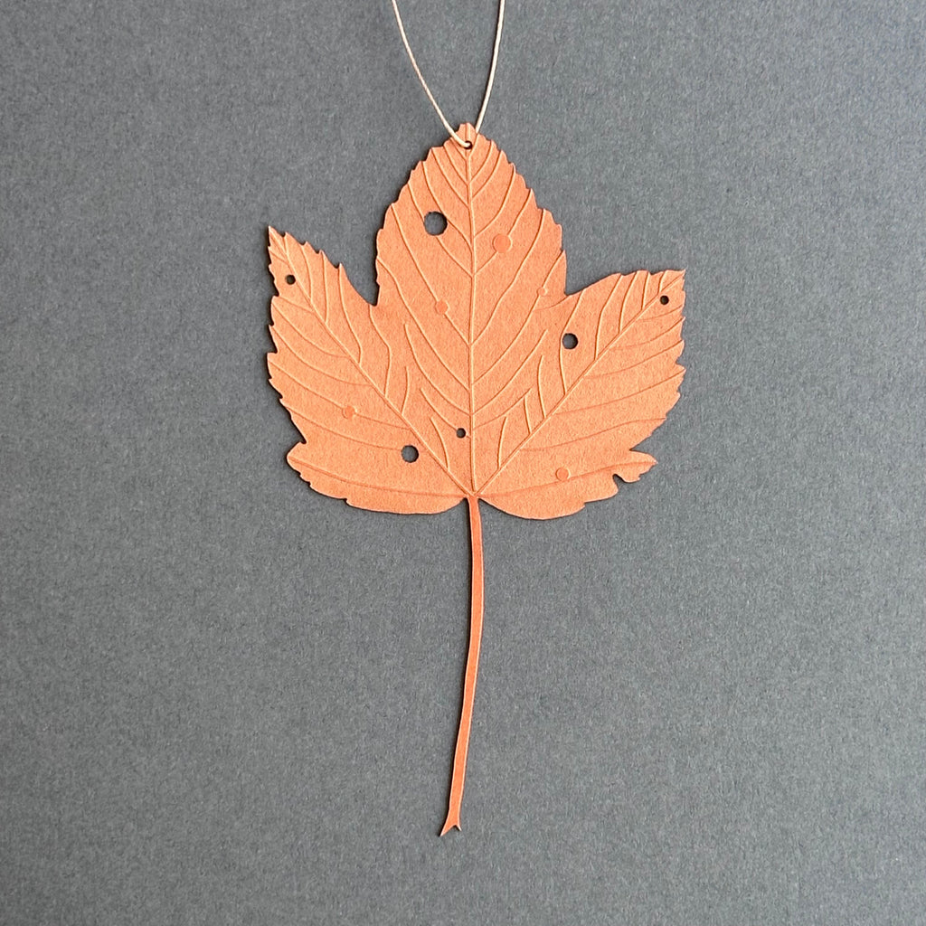 Single Sycamore Leaf - Orange