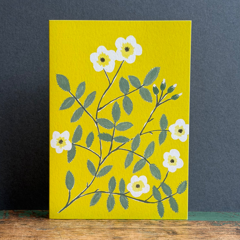 Greeting Card - Wild Roses