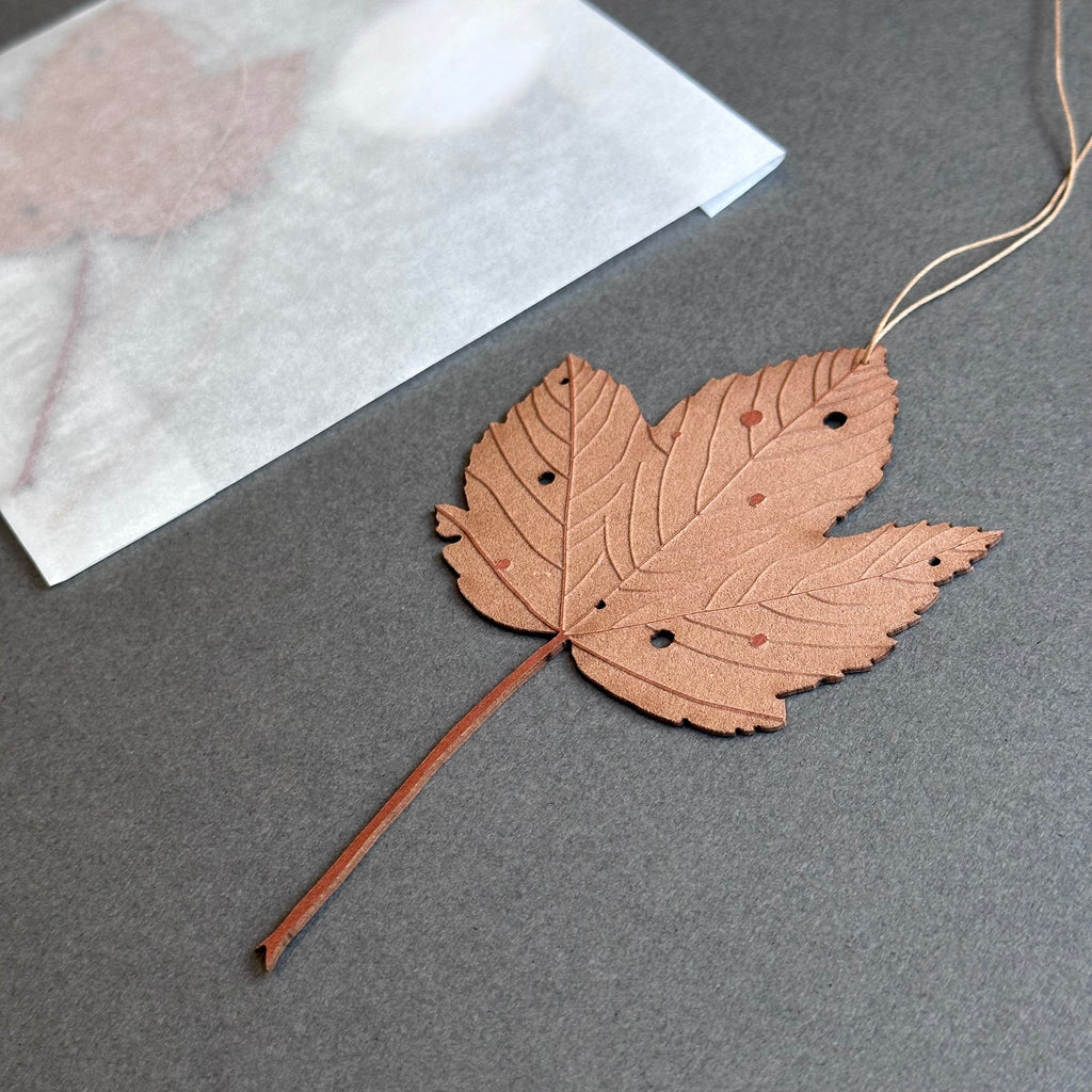 Single Sycamore Leaf - Rust