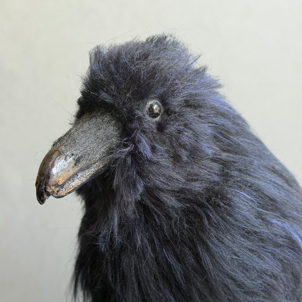 Needle Felted Raven on Burwood ‘Frith’