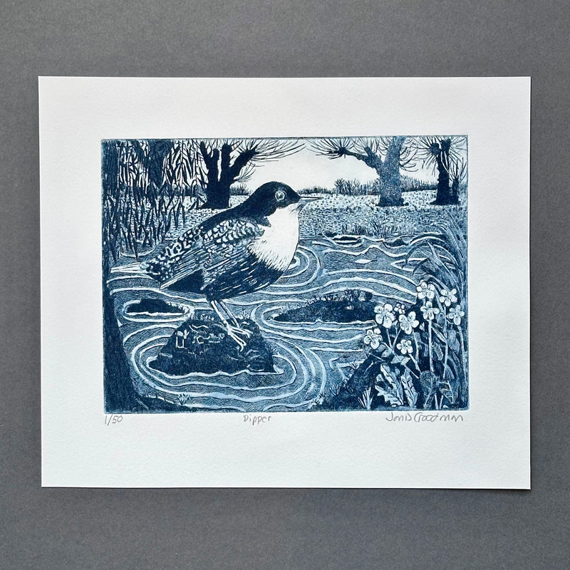 Etching - Dipper - Unframed