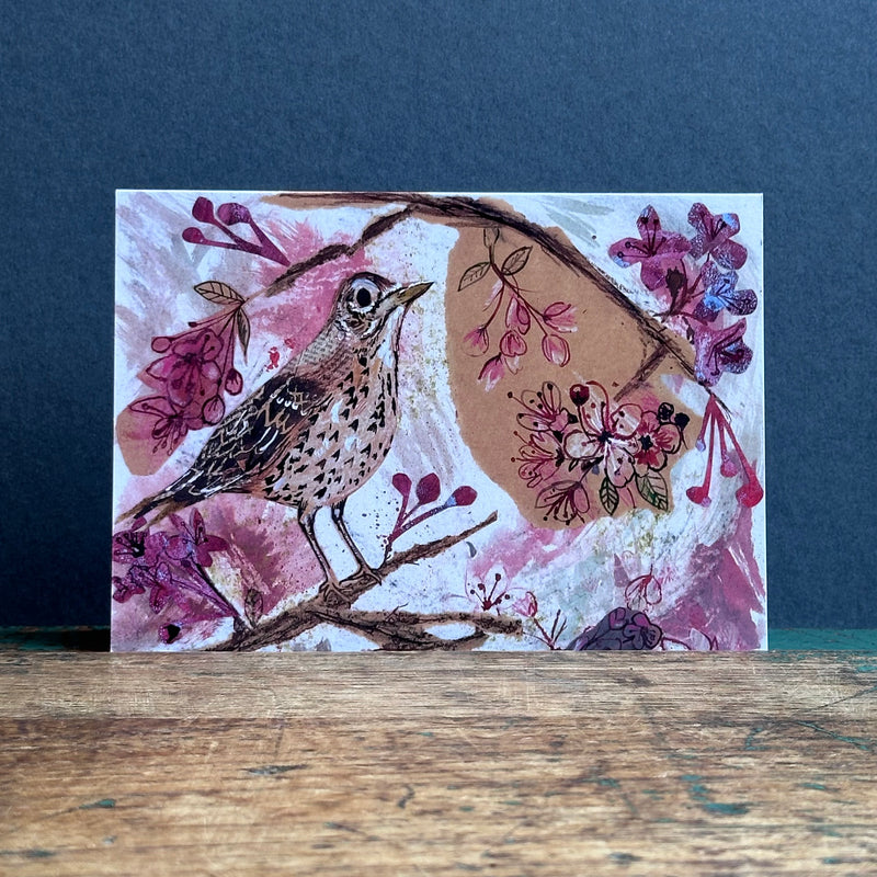 G/Card - A6 - Song Thrush in the Cherry Blossom