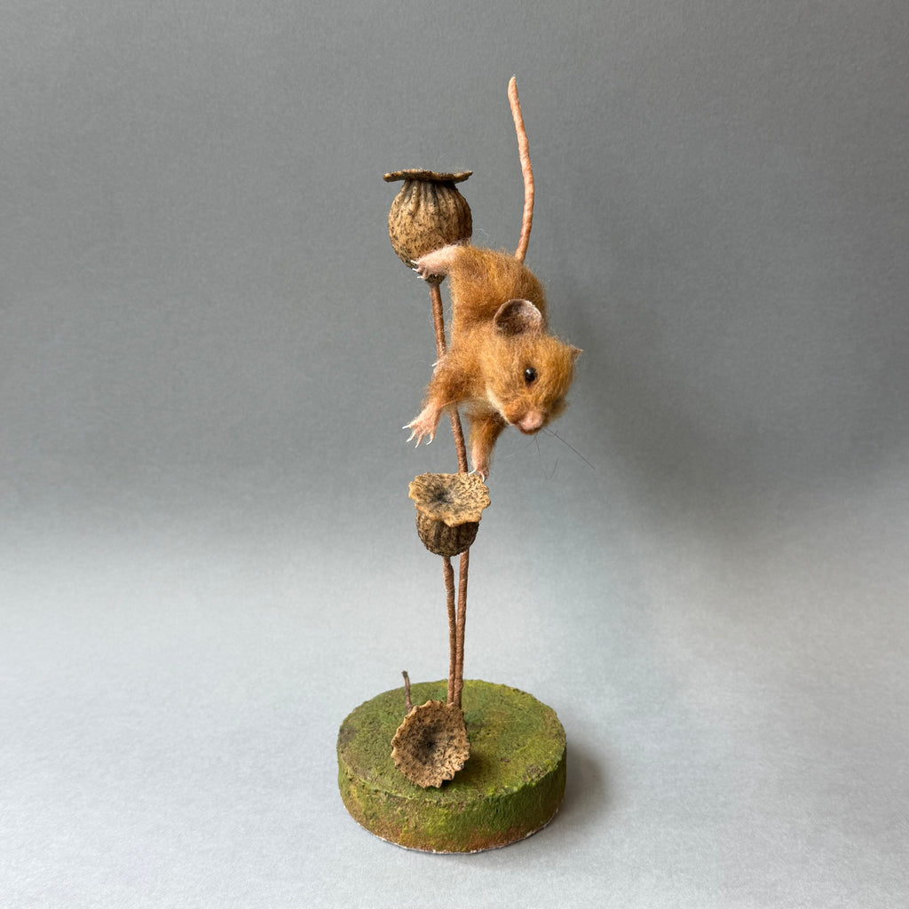Needle Felted ‘Tove’ Mouse with Poppy Seedheads