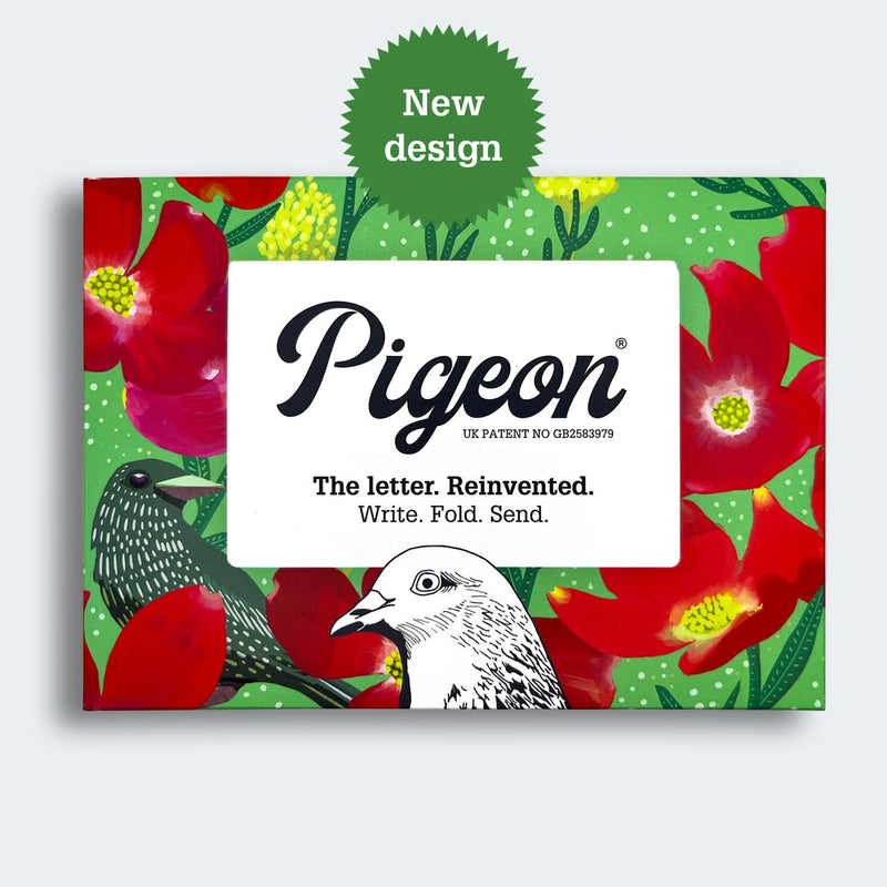 Pigeon Posted ‘Dusk to Dawn’