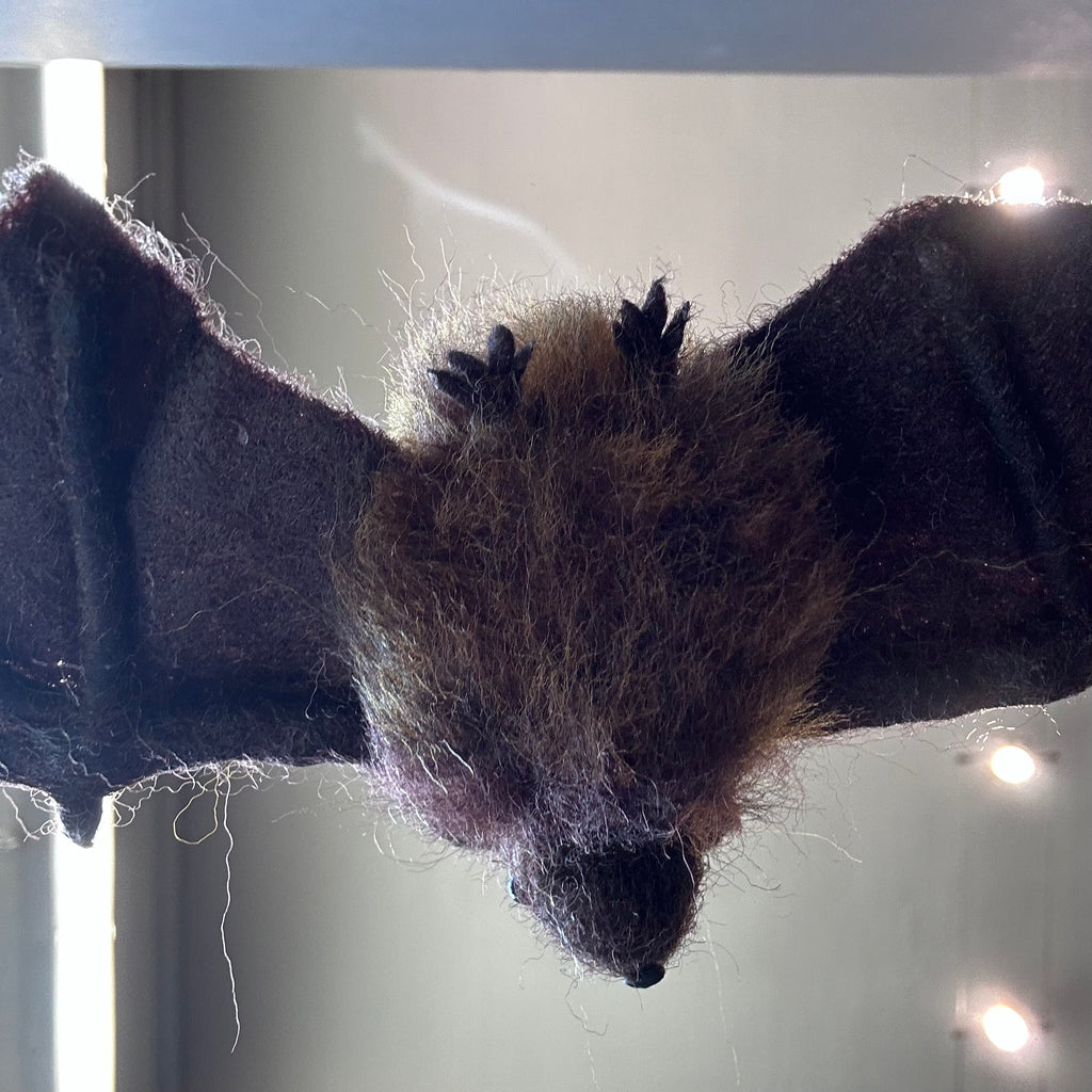 Needle Felted ‘Bat’ #B