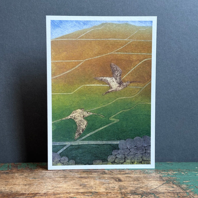 G/Card - Hester Cox - Fellside - Summer