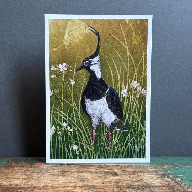 G/Card - Hester Cox - Lapwing and Cuckoo Flower