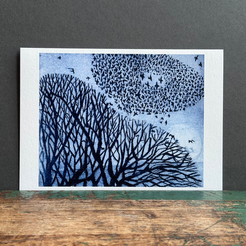 G/Card - Janis Goodman - Little Murmuration