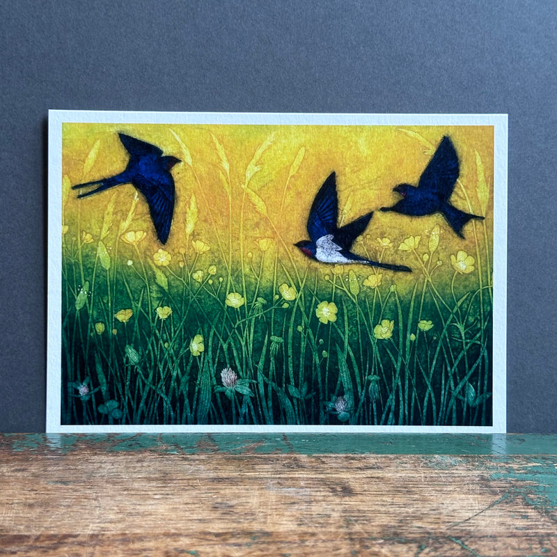 G/Card - Hester Cox - A Flight of Swallows