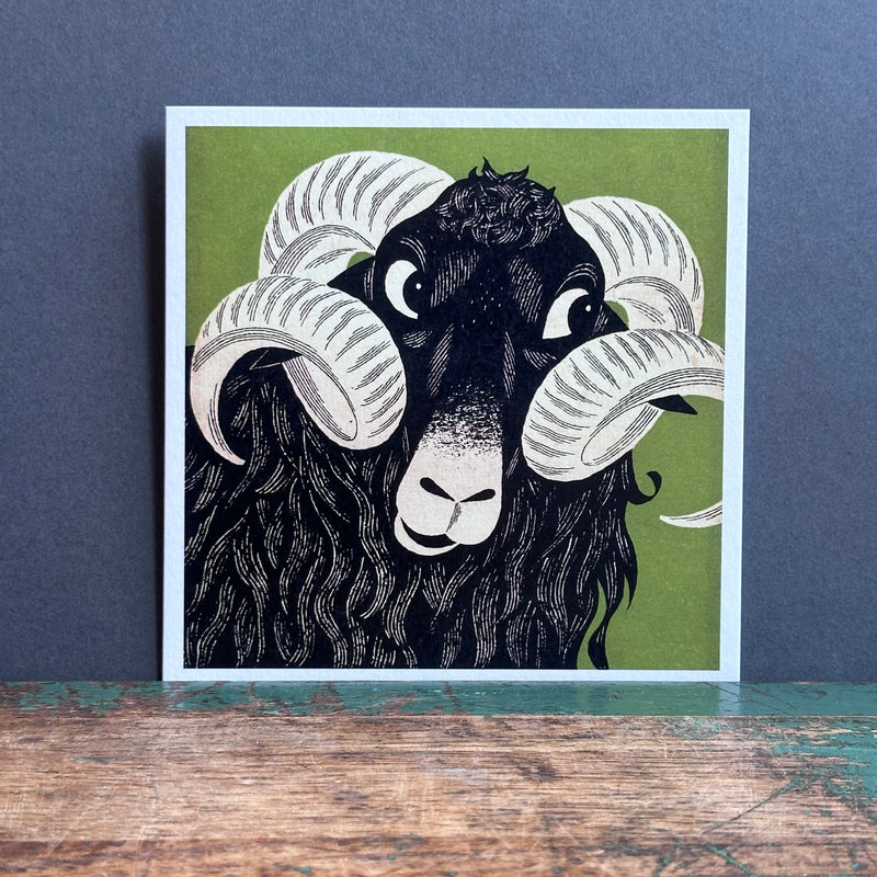 G/Card - John Hanna - 1954 Sheep