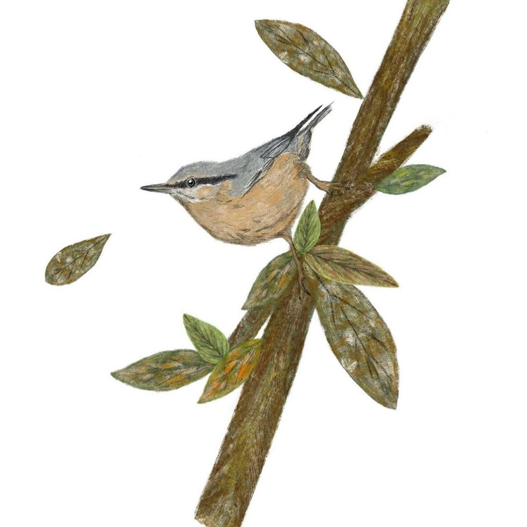 Candle Cover 'Nuthatch’