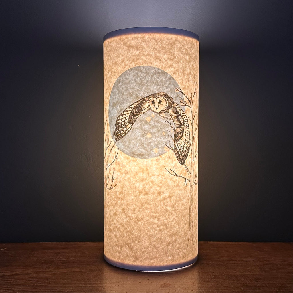 Small Lamp 'Flying Owl'