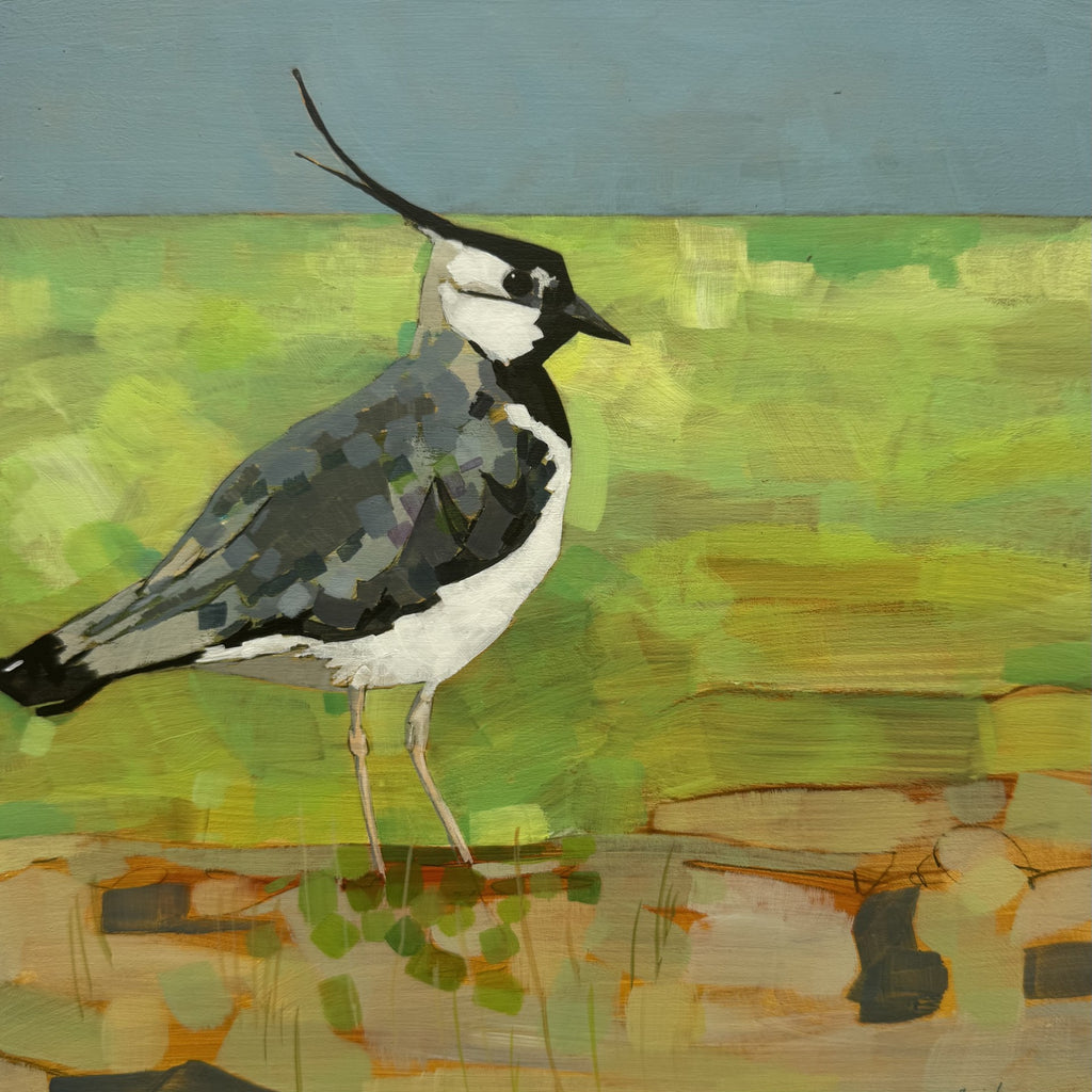 Acrylic on Board - ‘Lapwing’